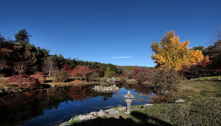 Assises Territoriales de création de la LPO Occitanie DT Gard